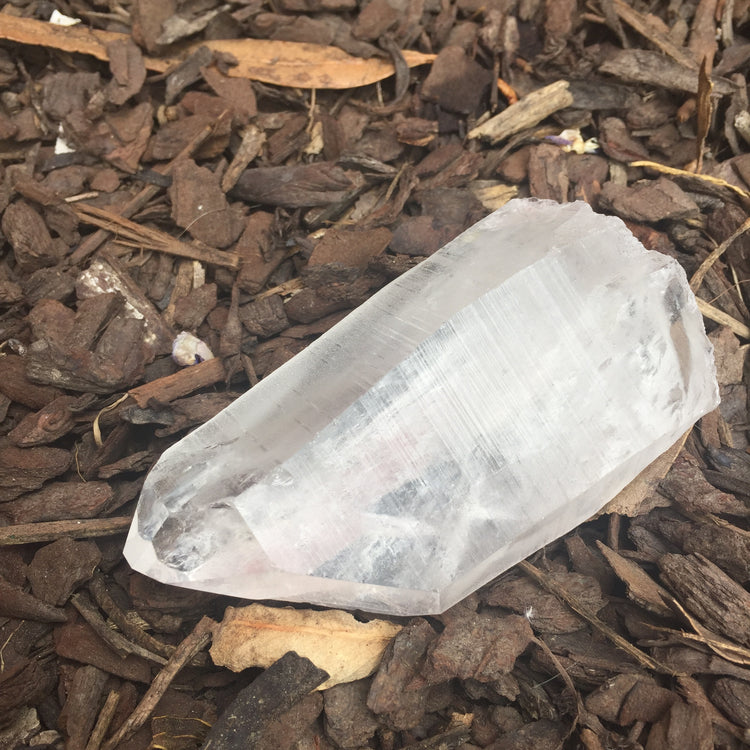 Lemurian Quartz Large Point 2