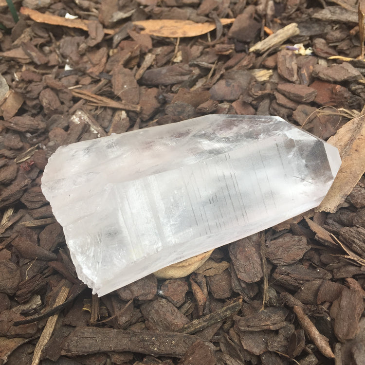 Lemurian Quartz Large Point 2