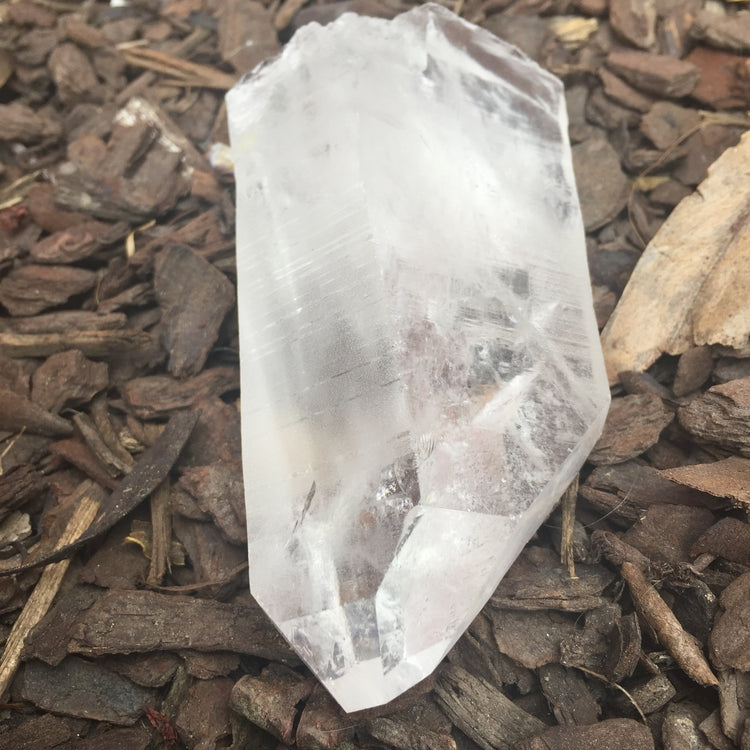 Lemurian Quartz Large Point 2
