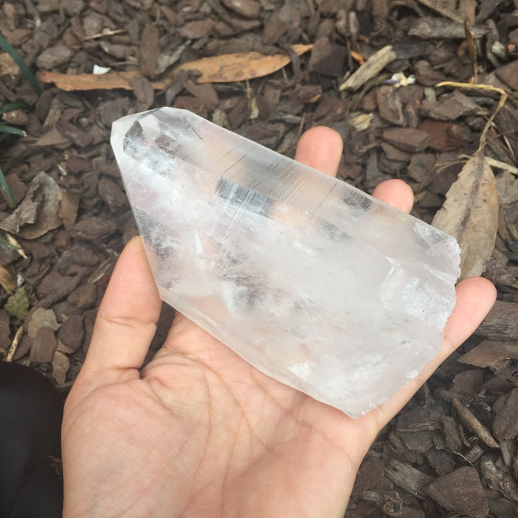Lemurian Quartz Large Point 2