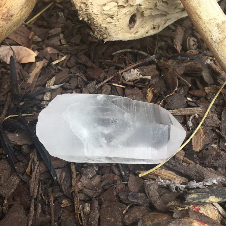 Lemurian Quartz Medium Point 2