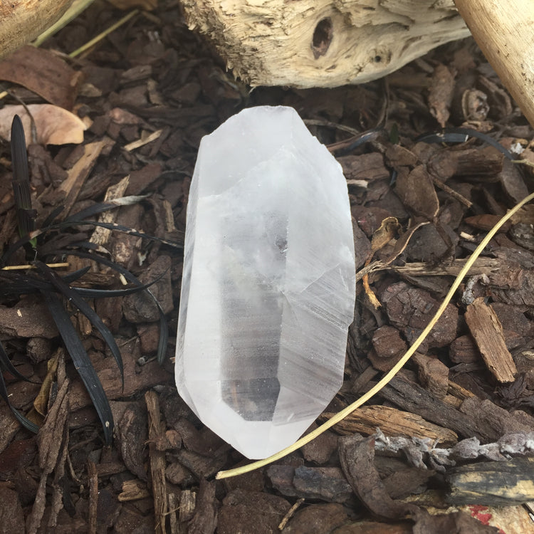 Lemurian Quartz Medium Point 2