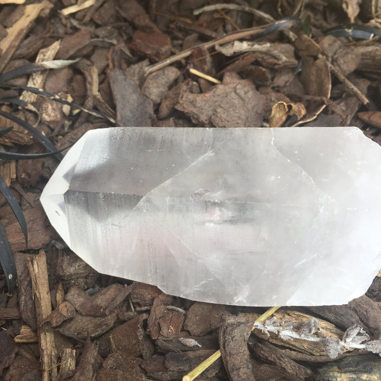 Lemurian Quartz Medium Point 2