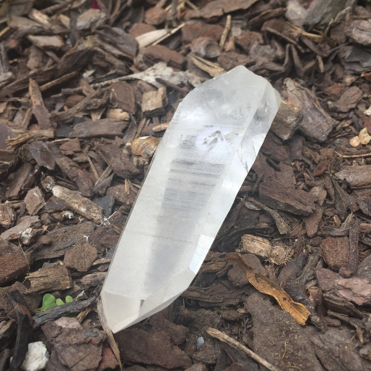 Lemurian Quartz Medium Point 3