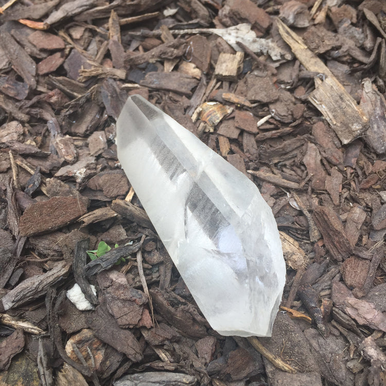 Lemurian Quartz Medium Point 3