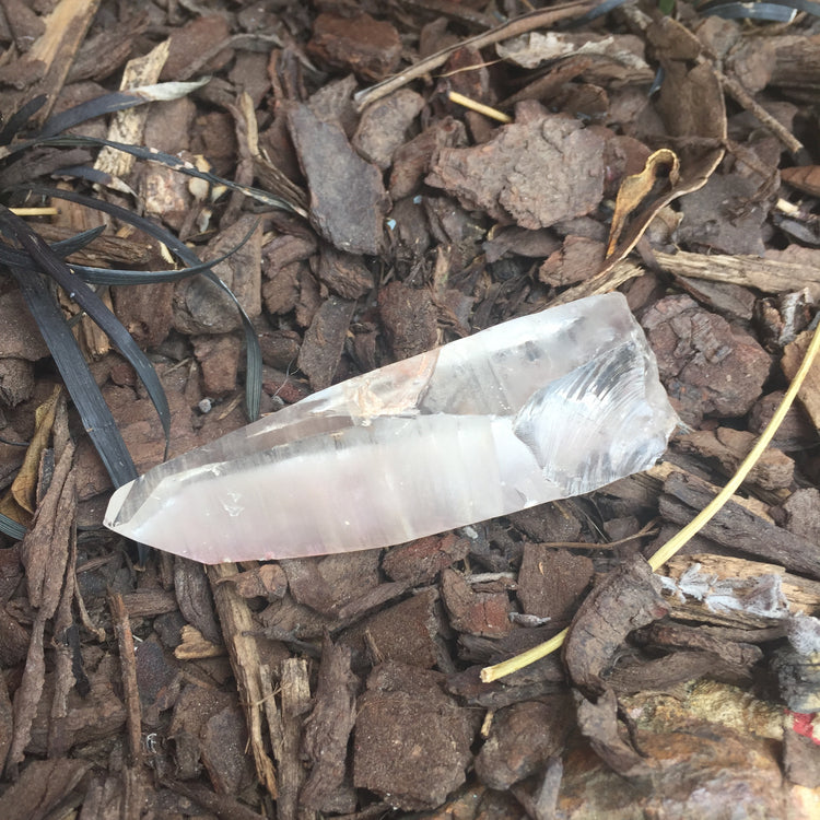Lemurian Quartz Medium Point 4