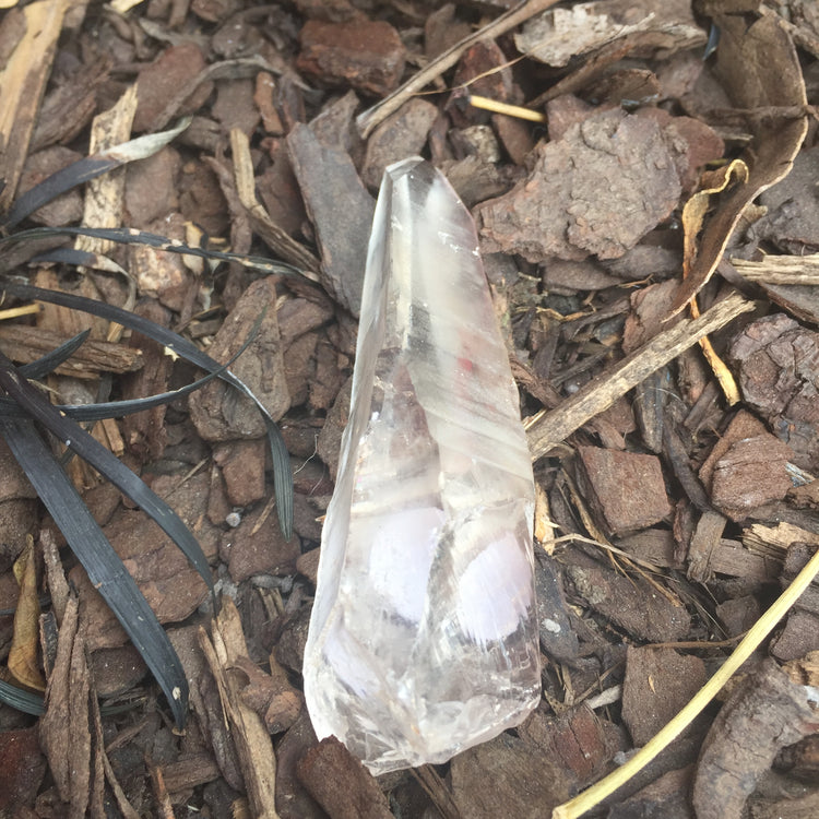 Lemurian Quartz Medium Point 4