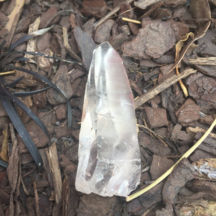 Lemurian Quartz Medium Point 4