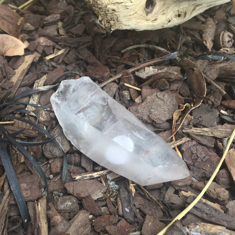Lemurian Quartz Medium Point 5