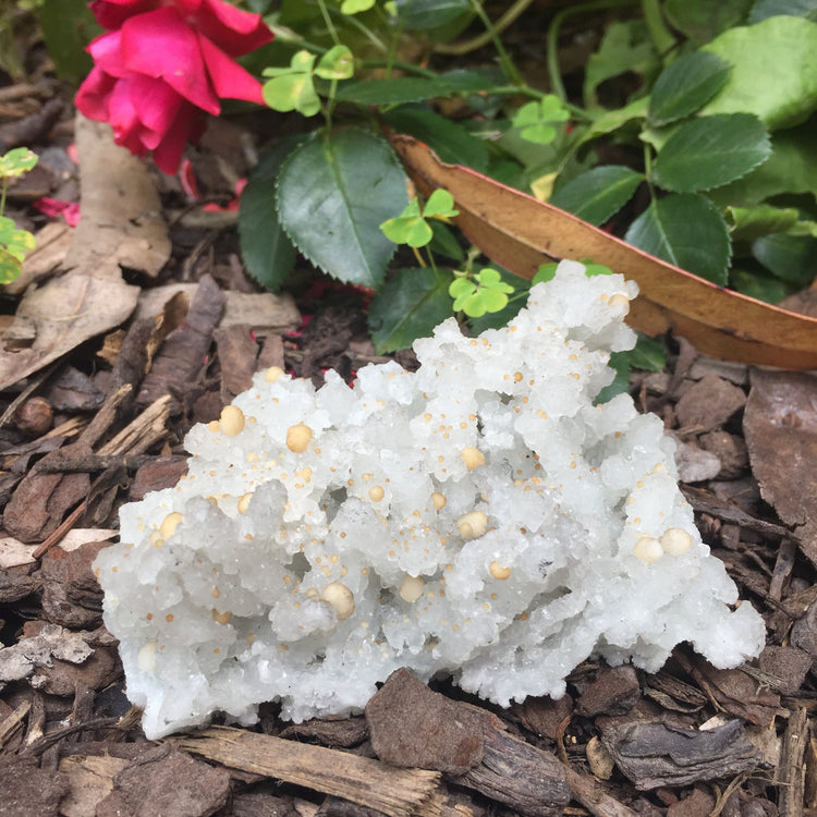 Bubble Chalcedony Zeolite Specimen Large