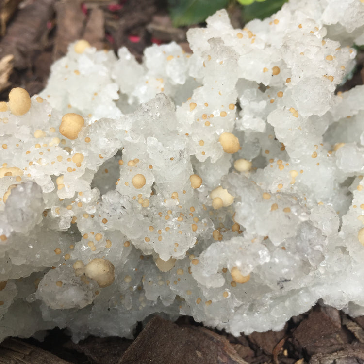 Bubble Chalcedony Zeolite Specimen Large