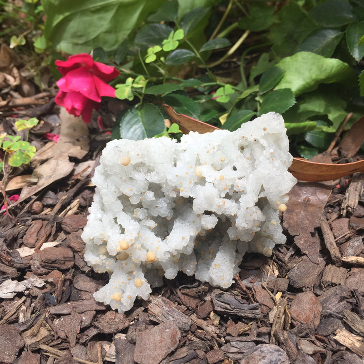 Bubble Chalcedony Zeolite Specimen Large