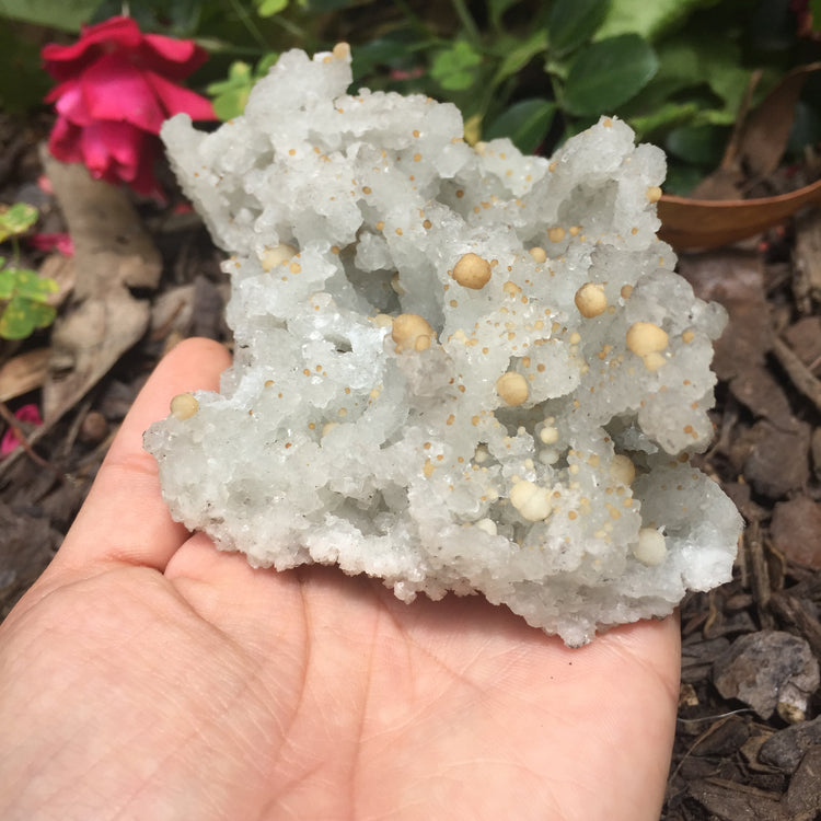 Bubble Chalcedony Zeolite Specimen Large