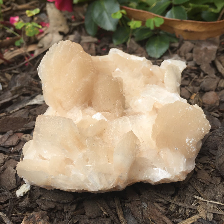 Stilbite Cluster Zeolite Specimen Large
