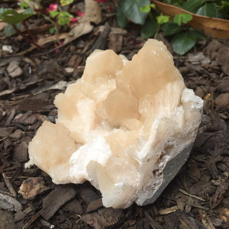 Stilbite Cluster Zeolite Specimen Large