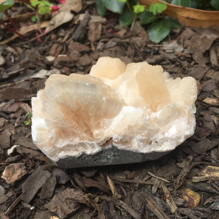 Stilbite Cluster Zeolite Specimen Large