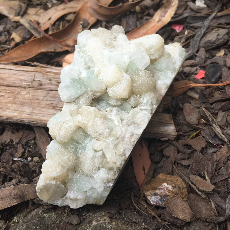 Apophyllite & Chalcedony Cluster Zeolite Specimen Large