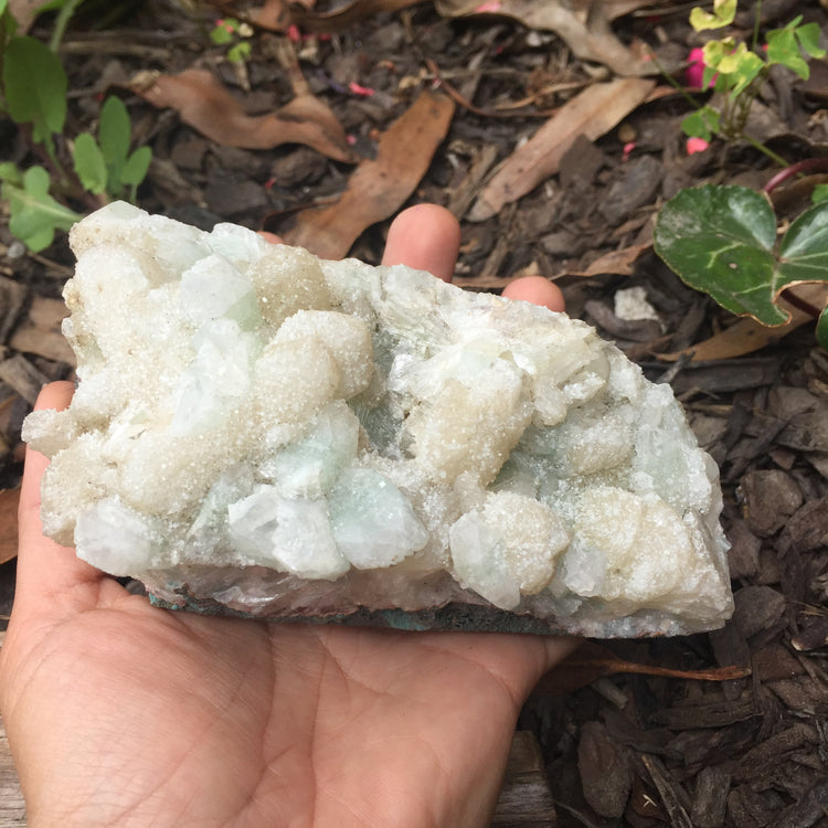 Apophyllite & Chalcedony Cluster Zeolite Specimen Large