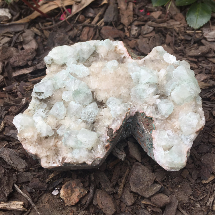 Apophyllite & Chalcedony Cluster Zeolite Specimen Large 2
