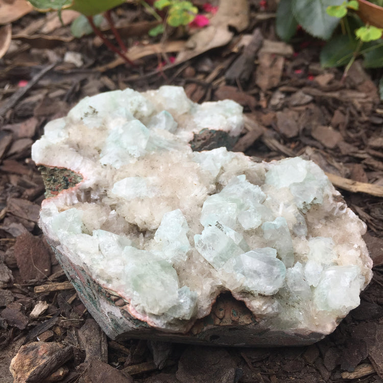 Apophyllite & Chalcedony Cluster Zeolite Specimen Large 2