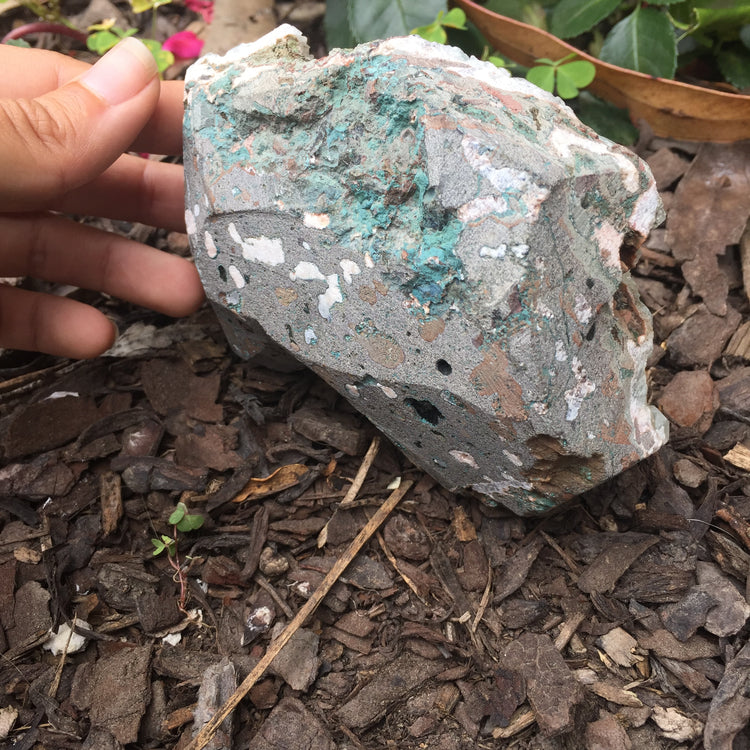 Apophyllite & Chalcedony Cluster Zeolite Specimen Large 2