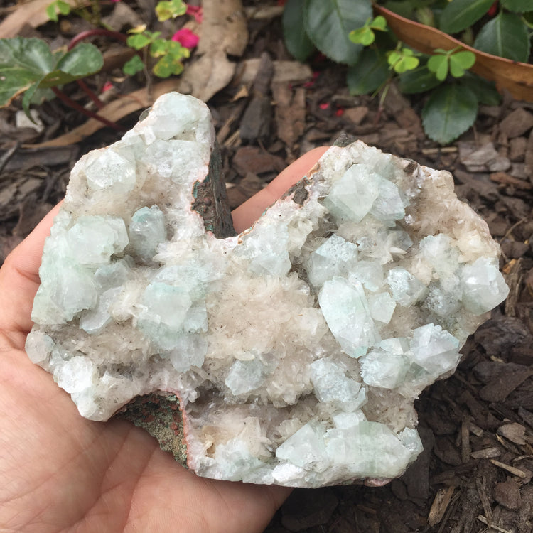 Apophyllite & Chalcedony Cluster Zeolite Specimen Large 2