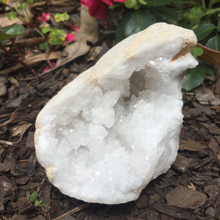 Chalcedony Geode Zeolite Specimen Large