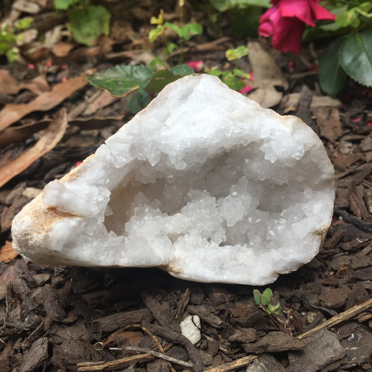 Chalcedony Geode Zeolite Specimen Large