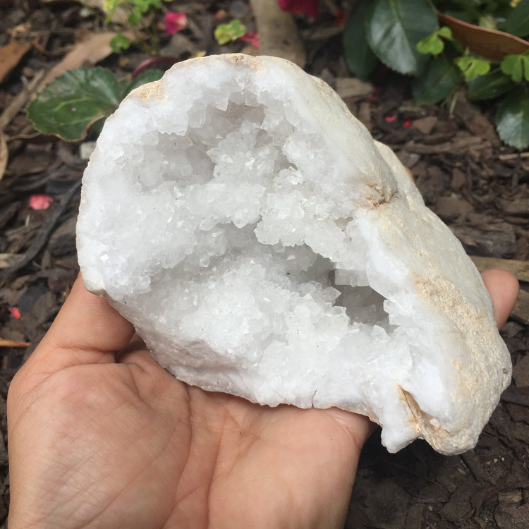 Chalcedony Geode Zeolite Specimen Large