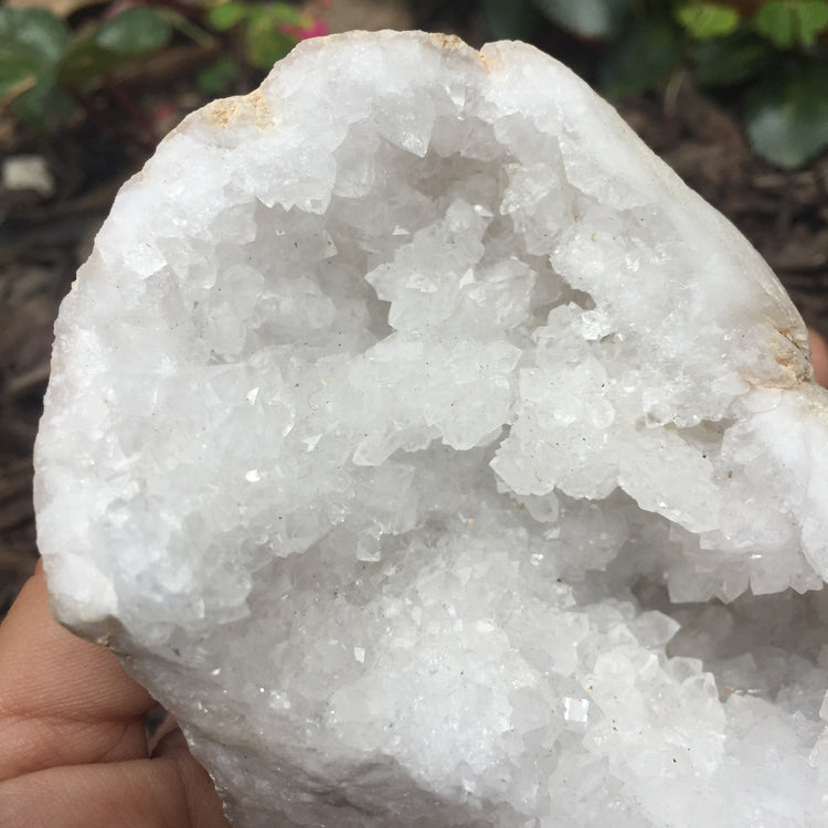 Chalcedony Geode Zeolite Specimen Large