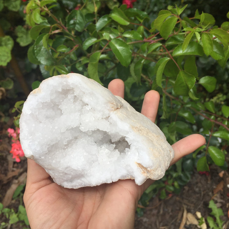 Chalcedony Geode Zeolite Specimen Large