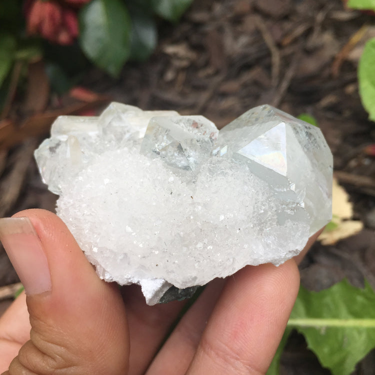 Apophyllite & Chalcedony Cluster Zeolite Medium