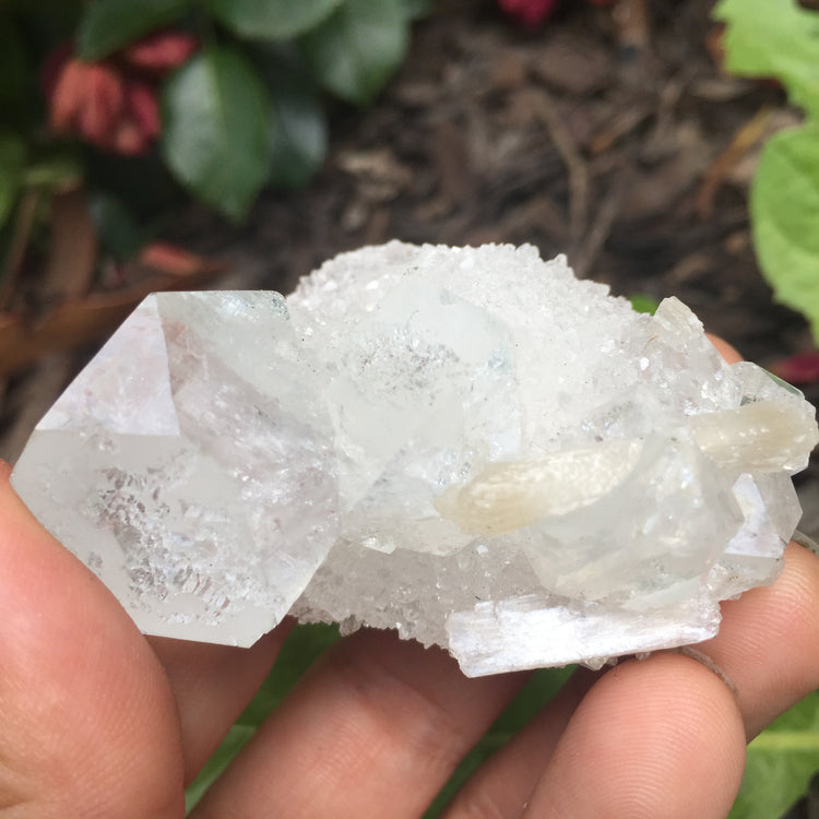 Apophyllite & Chalcedony Cluster Zeolite Medium