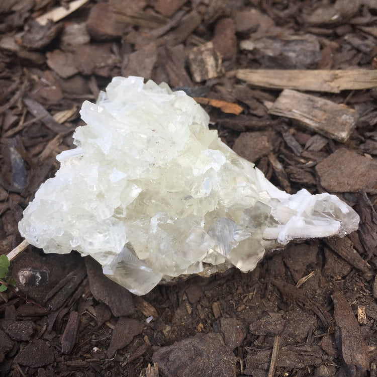 Apophyllite Cluster Zeolite