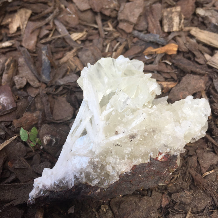 Apophyllite Cluster Zeolite