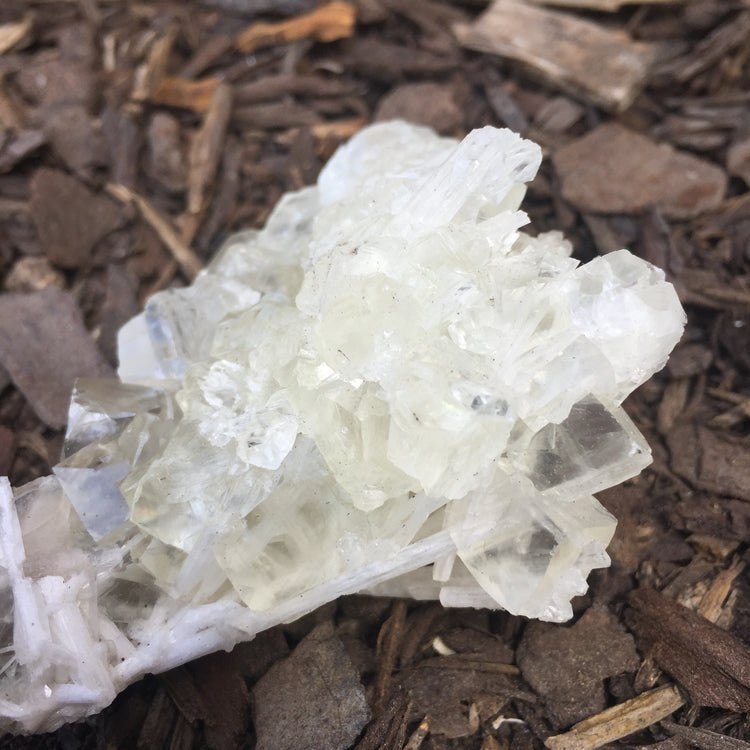 Apophyllite Cluster Zeolite