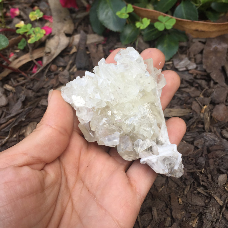 Apophyllite Cluster Zeolite