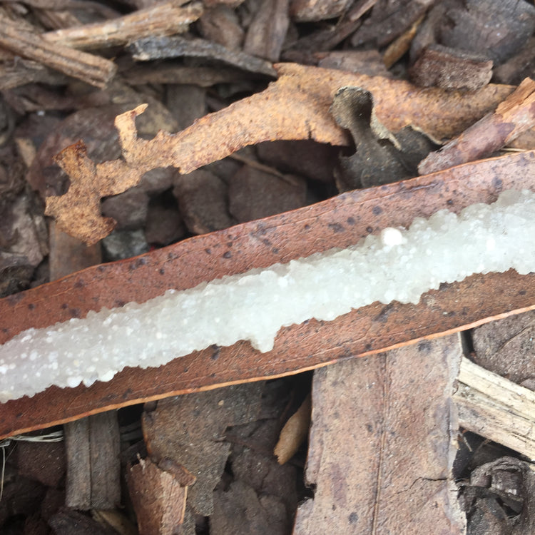 Chalcedony Cluster Small
