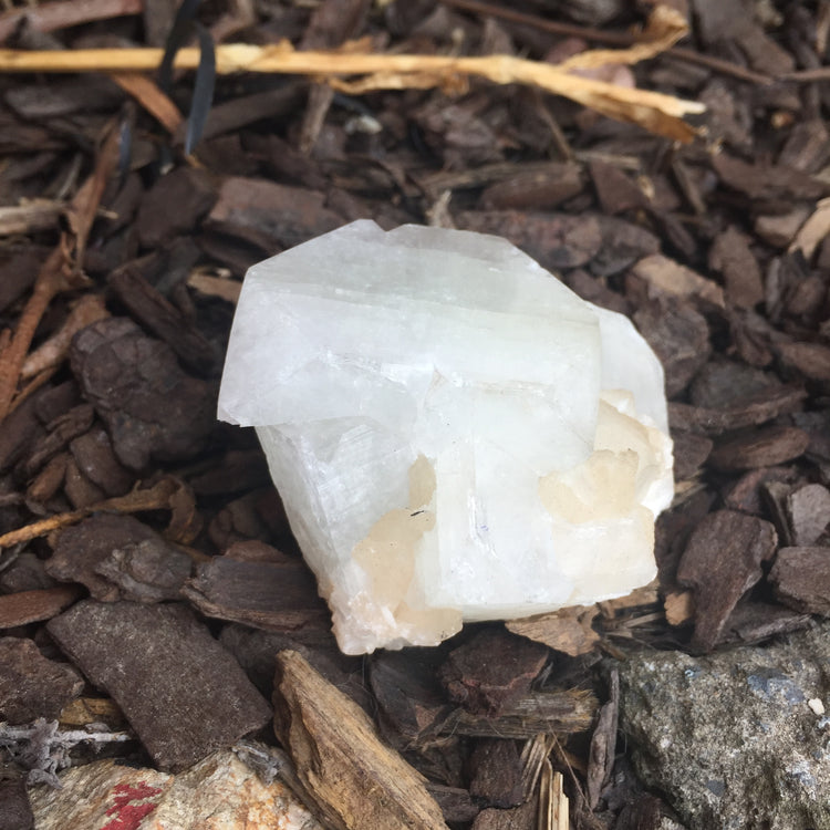 Apophyllite Cluster Zeolite 2