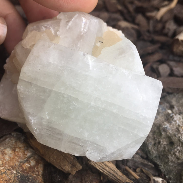 Apophyllite Cluster Zeolite 2