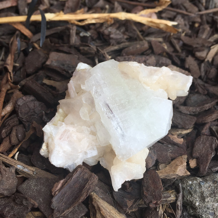 Apophyllite Cluster Zeolite 3