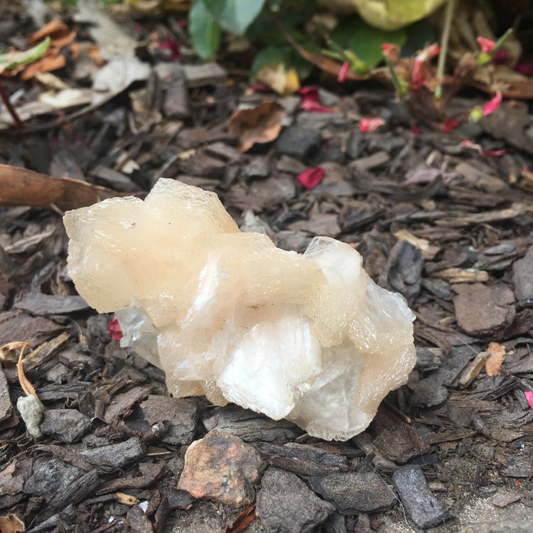 Stilbite & Apophyllite Cluster Zeolite