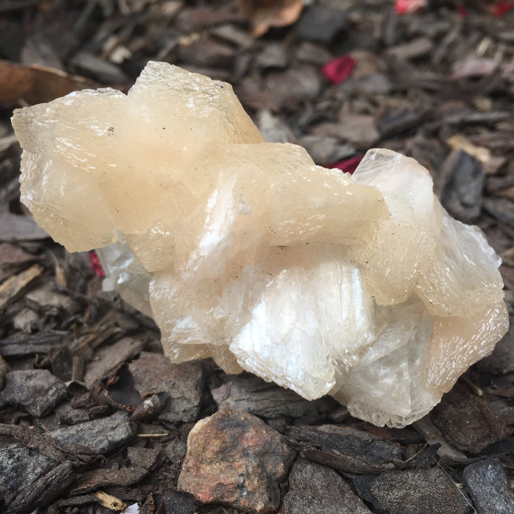 Stilbite & Apophyllite Cluster Zeolite