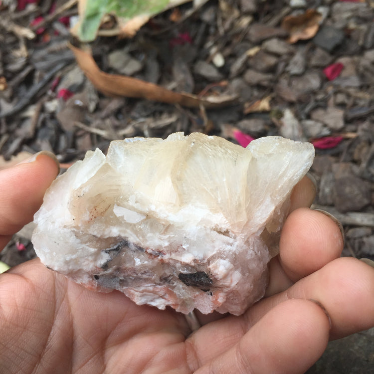 Stilbite & Apophyllite Cluster Zeolite