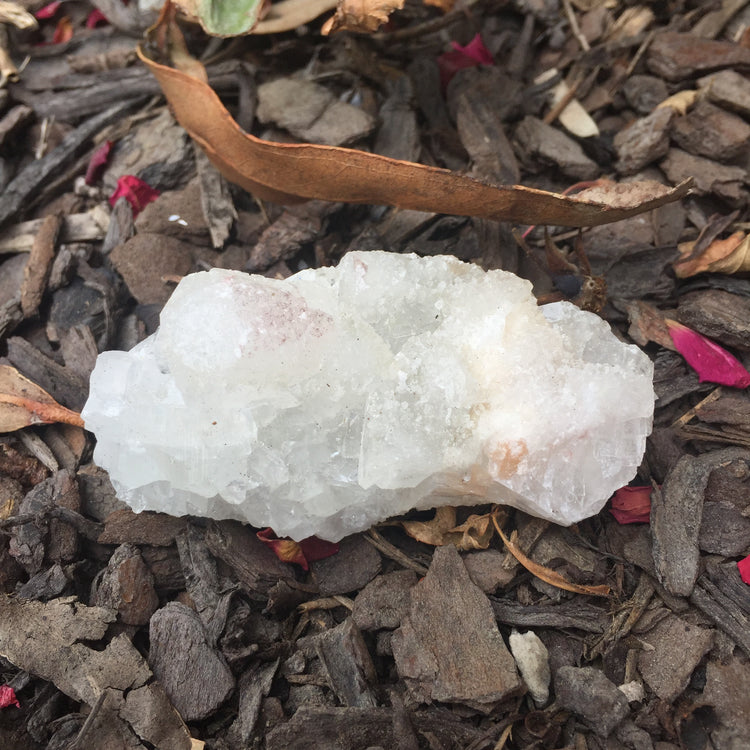 Apophyllite Cluster Zeolite 4