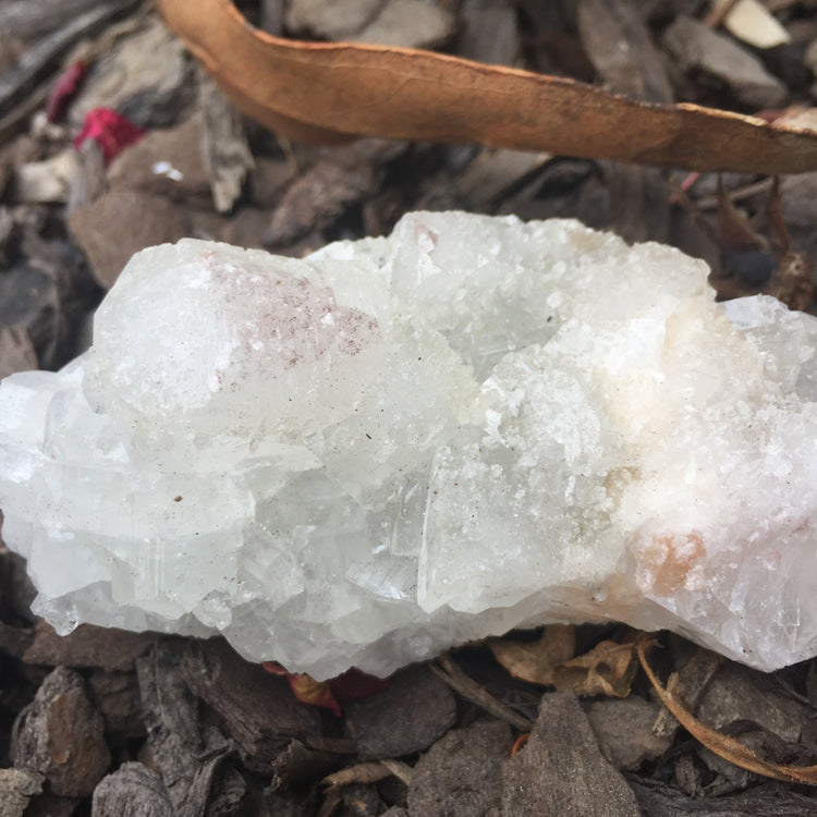 Apophyllite Cluster Zeolite 4