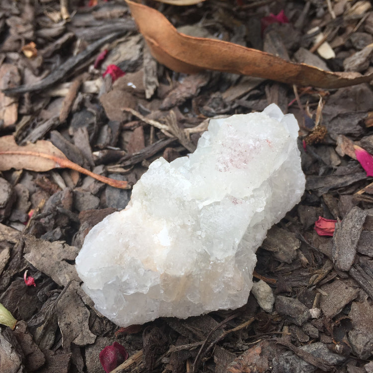 Apophyllite Cluster Zeolite 4