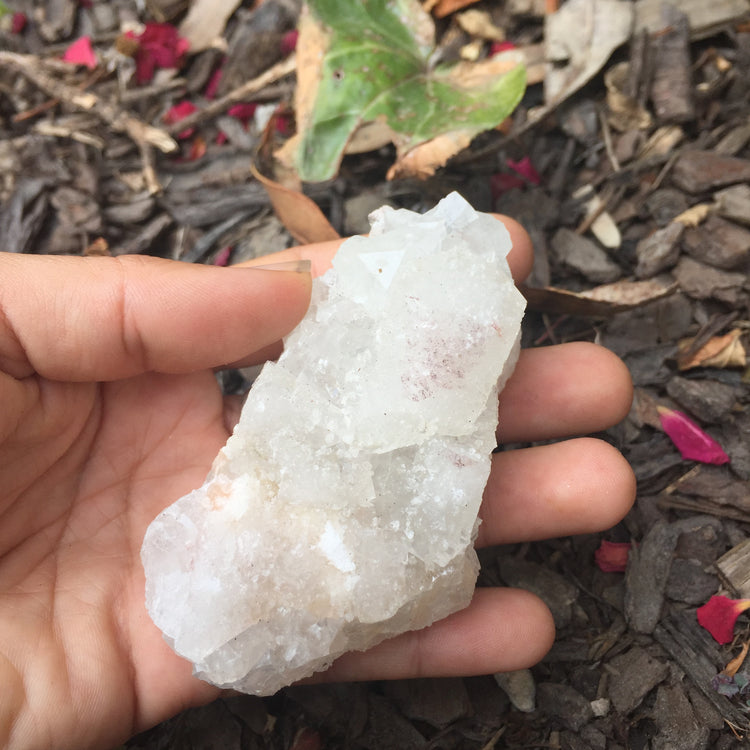 Apophyllite Cluster Zeolite 4