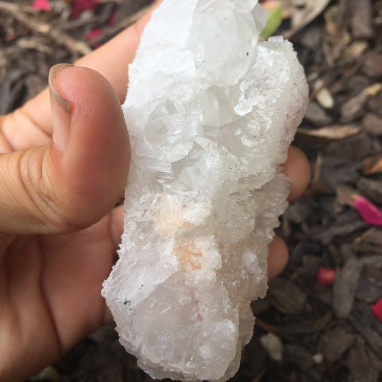 Apophyllite Cluster Zeolite 4