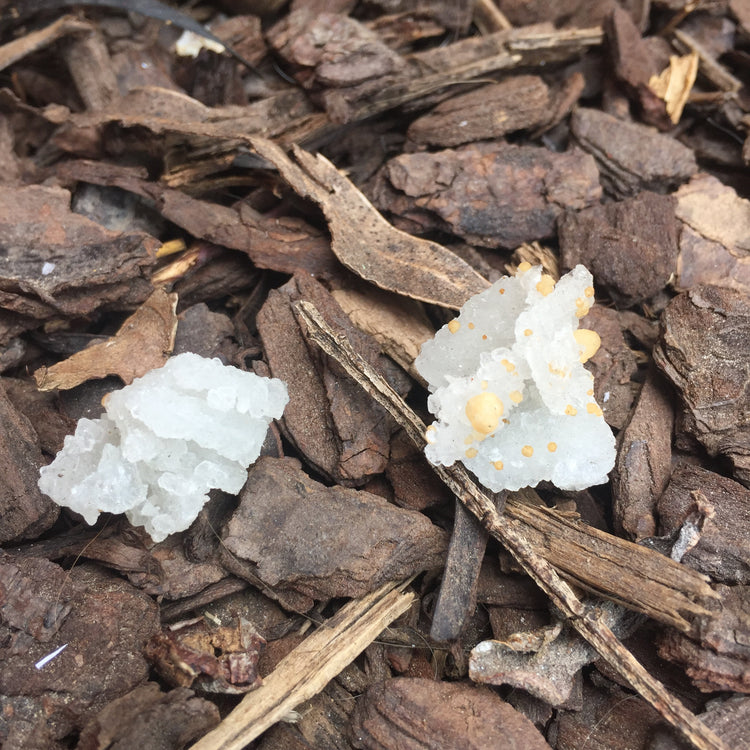 Bubble Chalcedony Small